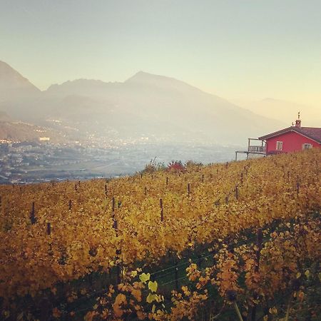 빌라 라가리나 Agritur Maso Spezial 빌라 외부 사진