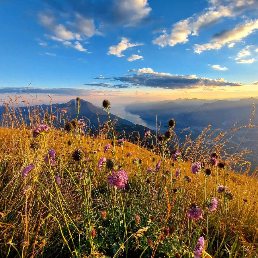 빌라 라가리나 Agritur Maso Spezial 빌라 외부 사진