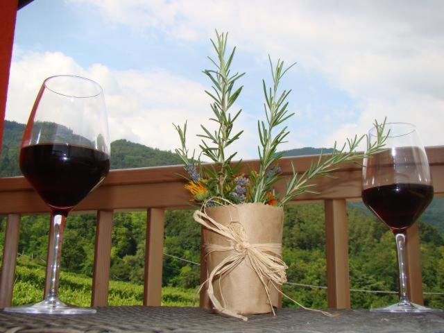 빌라 라가리나 Agritur Maso Spezial 빌라 외부 사진