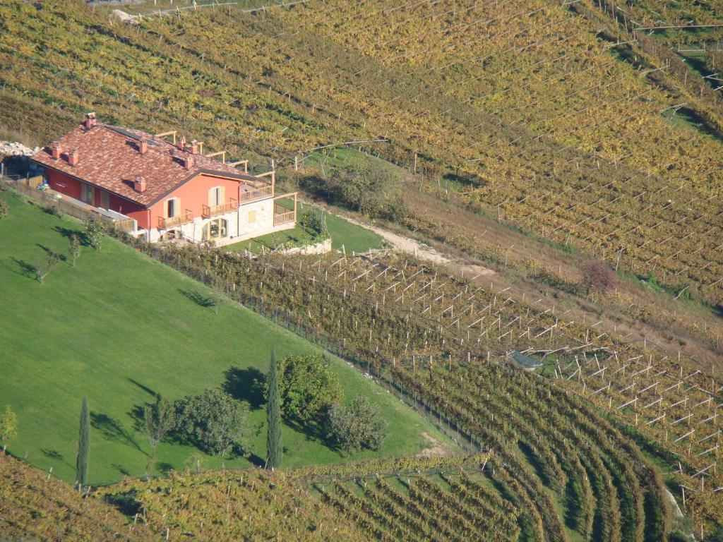 빌라 라가리나 Agritur Maso Spezial 빌라 외부 사진