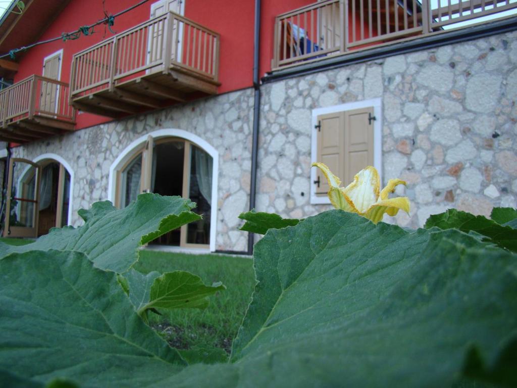 빌라 라가리나 Agritur Maso Spezial 빌라 외부 사진
