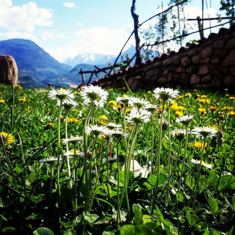 빌라 라가리나 Agritur Maso Spezial 빌라 외부 사진