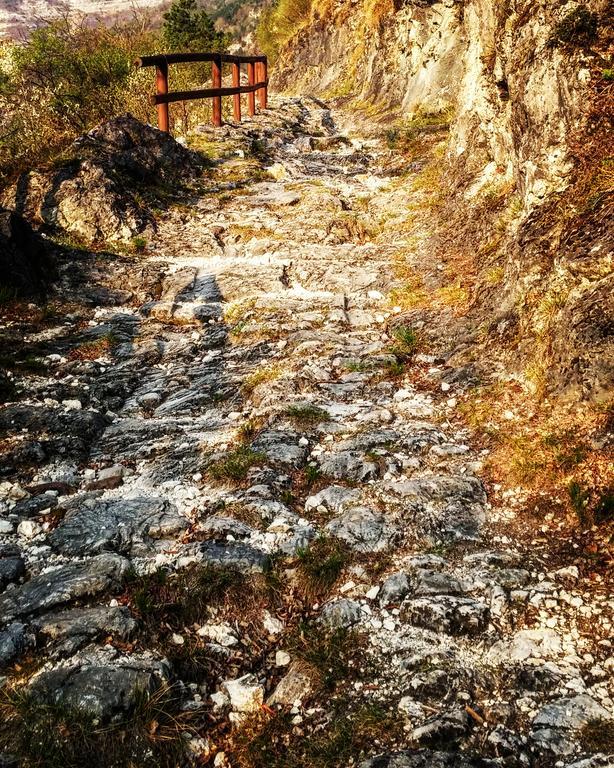 빌라 라가리나 Agritur Maso Spezial 빌라 외부 사진