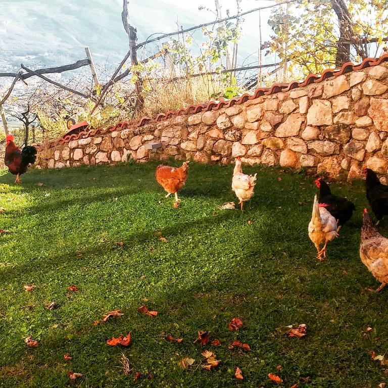 빌라 라가리나 Agritur Maso Spezial 빌라 외부 사진